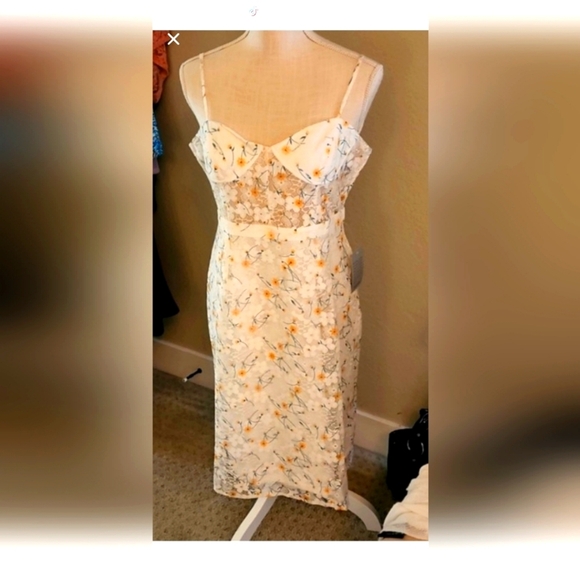 Lace Overlay Sheath Dress - Picture 1 of 4